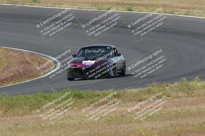 media/May-04-2024-Lucky Dog Racing (Sat) [[d39539b3f3]]/Race Pics/1015am (Turn 2)/